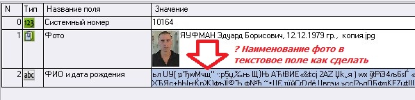 sample.jpg